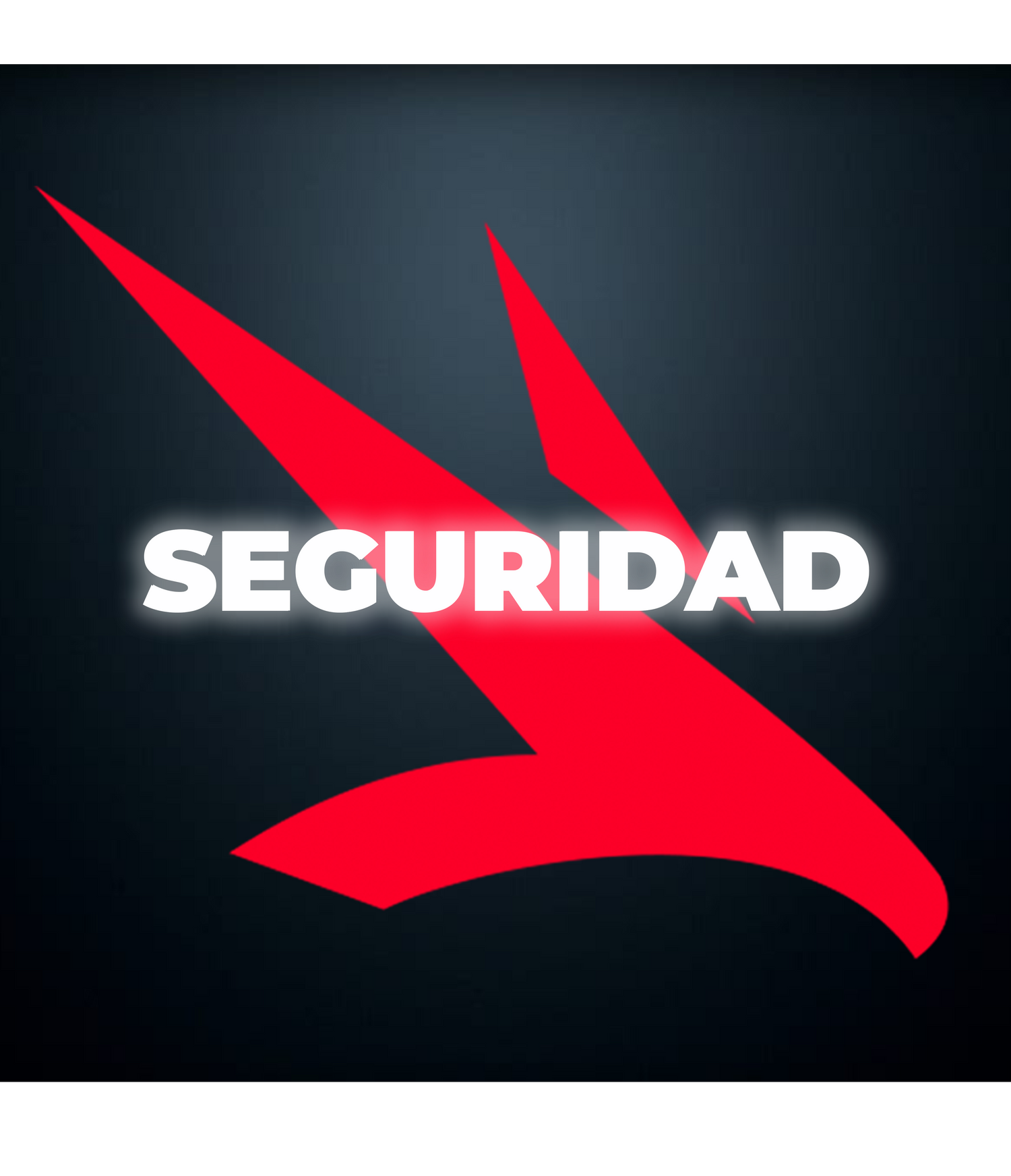 SEGURIDAD